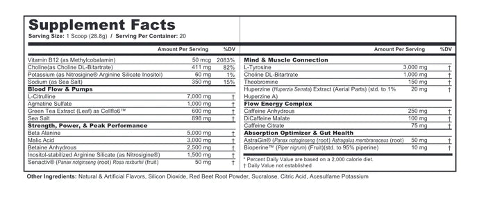 We Go Home NSNV 2.0 Pre-Workout