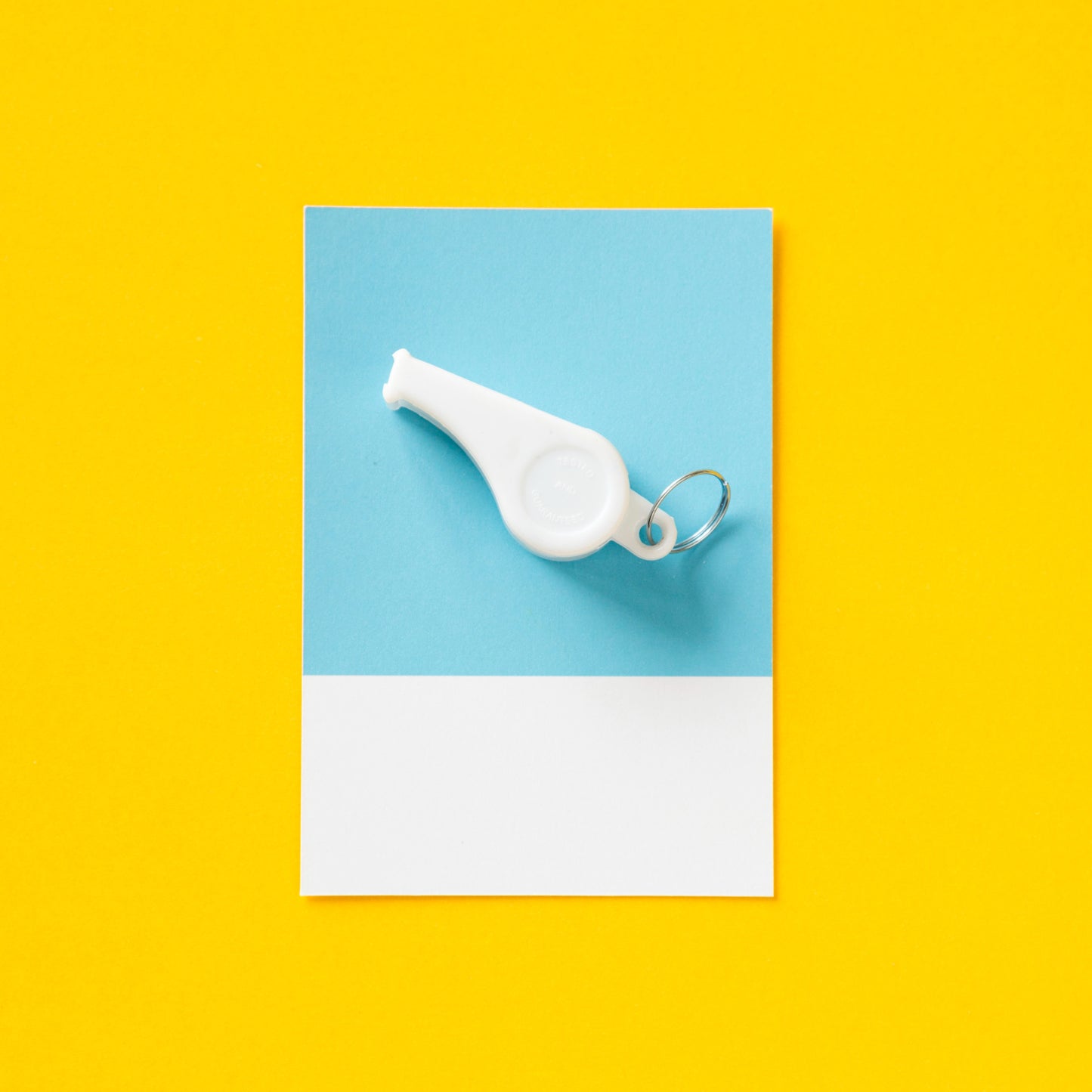 Life Coaching/Mental Health Guidance